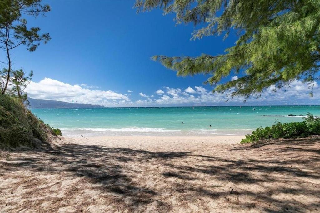Unit 17 Maui Ohana Modern Studio Wailuku Dış mekan fotoğraf